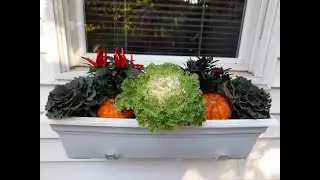 Planting Fall Window Boxes