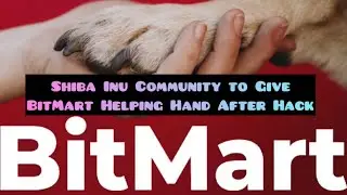 Shiba Inu Community to Give BitMart Helping Hand After Hack