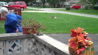 Donna Jean Rueff cleans and decorates the front of the house for Fall on 10-1-2012 A.D. (3)