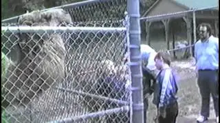 Bensons Wild Animal Farm