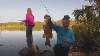 Exploring the Turtle River
