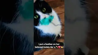She Loves the Feather on Her Beloved Twisty Tie 🪶✒️💚🐈