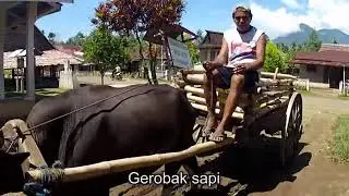 Indonesia -- Glimpses of Jailolo on West Halmahera