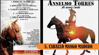CABALLO MANGO MADURO - Anselmo Torres