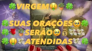 ♍️VIRGEM🍀UM PASSO🍀PARA UM SALTO🤑🥹MUITO ALTO🤑🍀SUAS👼ORAÇÕES🥹FORAM🍀OUVIDAS🥹(04/01/2026)🥹🤑🌹💸💰🍀