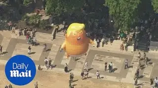 Aerial images show crowds gathering by the Trump baby balloon