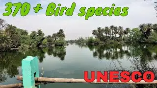 Exploring Keoladev National Park Bharatpur Rajasthan | UNESCO Bird Sanctuary