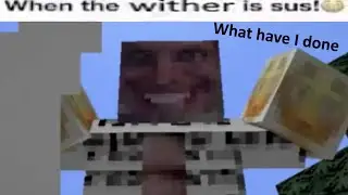 When The Wither Is Sus! (low effort upload)