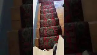 #steps in #paris be like&hellip; #stairmaster #paris #france #shorts