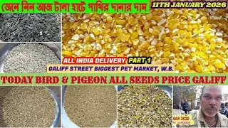 Galiff Street Pet Market, Kolkata, W. Bengal|জেনে নিন আজ টালা হাটে পাখির দানার দাম|11th January 2026
