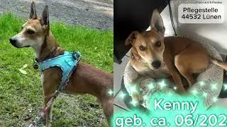 Niemand hat sie vermisst. Aber sie fühlen alles. 💔