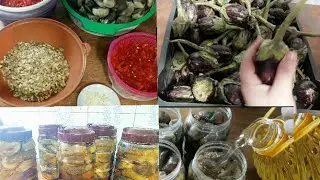 طول عمرنا نعمل مكدوس الباذنجان غلط شوفوا جارتي السوريه شو علمتني