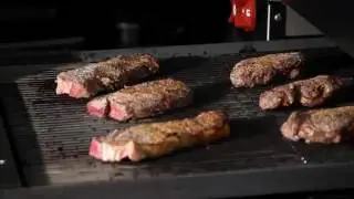 Vulcan V-Series Heavy-Duty Ranges | Versatility and Performance | Griddles, Charbroilers, and Fryers