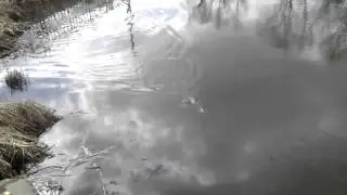 Owner Cultiva.mp4