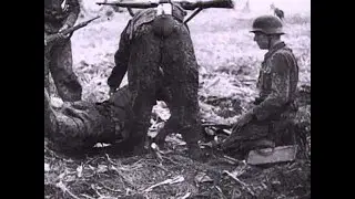 German War Files - Stug III, IV Assault Guns