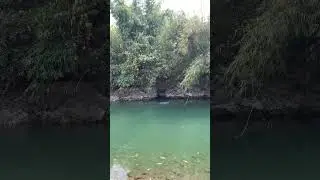 Bomb fishing