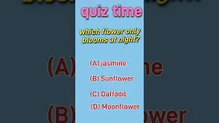 Quiz time #kids #shortvideo #trendingshorts