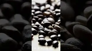 📷FUJI XT100 | TTARTISAN 100mm F2.8 Macro Sample shots #ttartisan100mmf2.8macro