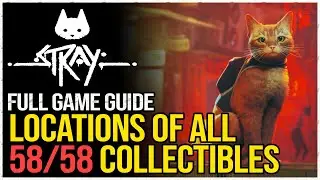 Stray All 58 Collectible Locations