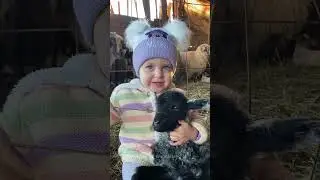 Farm kids#animal#animallover#farm#farmlife#kids #fyp