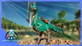 How To Tame The NEW GIGANTORAPTOR Easy! Ark Survival Ascended (The Island)