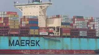 Edith Maersk and Venta Maersk leaving a misty Port of Felixstowe on the 11th May. #ship #shipping