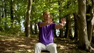 Gentle Qigong for Seniors & Beginners : Chair-Based Shibashi Set 1