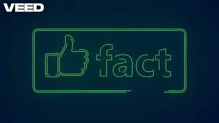 Daily Dose of Random |  the spotlight | Your Unexpected Entertainment Fix!