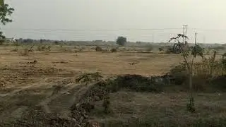 IndiaWarehousing.in / Industrial Park on Halol Highway