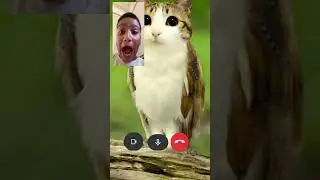 I&rsquo;m trying to play a game, bro
