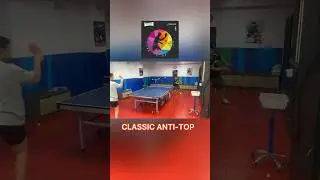 桌球 classic anti-spin rubber  | table tennis match  #乒乓球 #shorts
