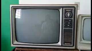 Garimpo no antiquário: TVs antigas clássicas! (Philips KL1, Philco 396 e Topo Gigio)