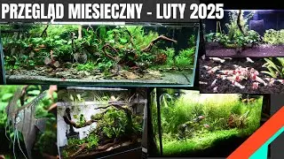 [Przegląd Miesięczny]-LUTY- 28-02-2025 [Moje CZTERY całkiem r&oacute;żne akwaria] [4K]