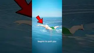 If a Whale Swallows You While Swimming, Here&rsquo;s What You Need to Know!? 😁