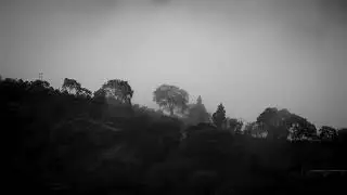 Dark forest fog scenery clip taken by a drone - No copyright video 60 FBS View ultra 4K HD SD Edited