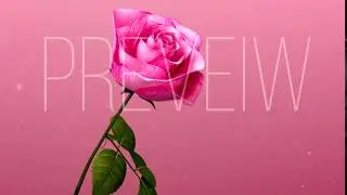 Rose Animation Preview