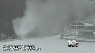 Wintergreen making snow