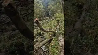 Exploring The Hidden Gem in Waterfall Country Sgwd Einion Gam