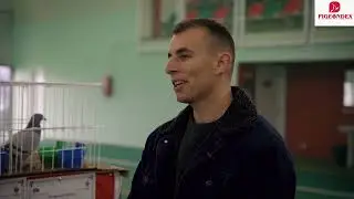 Dorin Shuane la Expoziția Columbofilă Iași | Scurt interviu