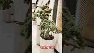 china Town #views_viral_video_subscribers_grow #love #shoppingcenter #song