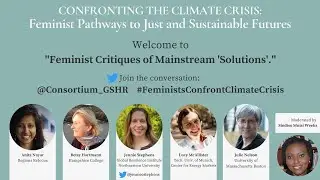 Feminist Critiques of Mainstream 