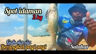 semangat saat mancing sambarang ikan babon@SYAFII96