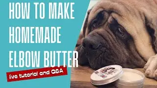 How to Make Elbow Butter for Dog Calluses | LIVE TUTORIAL |  DIY Home Remedy for Dogs [EASY]