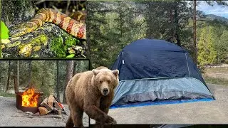 Snakes, Bear aur Camping | Camping Sites in British Columbia | Sasquatch Provincial Park