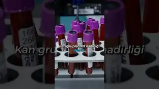 Kan grupları ve nadirliği part2. Sizin kan grubunuz hangisi? Bilim i&ccedil;in takip et.💙