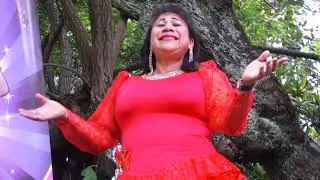 CARNAVAL OFICIAL  2024 DE LA TRICOLOR DE LOS ANDES