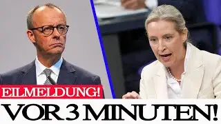Bundesrat-Votum sorgt f&uuml;r Aufruhr &ndash; Weidel setzt Merz unter massiven Druck