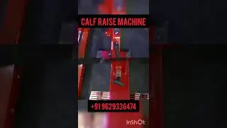 Seated Calf Raise machine