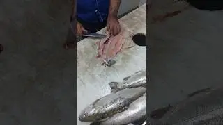 How to remove the salmon bone and fillet it easily #fishcuting