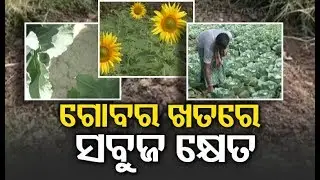 Gajapati Farmers Adopt Organic Farming